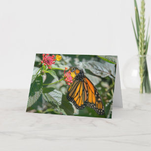 Monarch Butterfly - Tomt anteckningskort