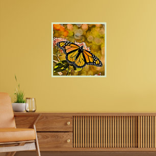 Monarch Butterfly Trädgårdskonst Poster