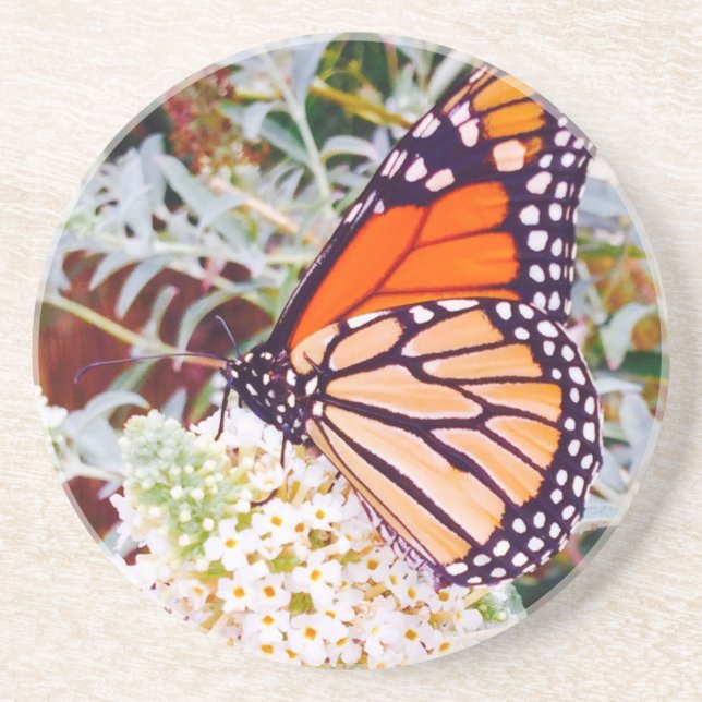 Monarch Butterfly Underlägg Sandsten (Framsidan)