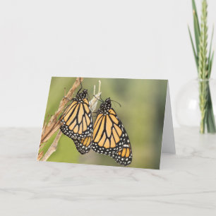 Monarch Butterfly-vänner hälsningskort Kort
