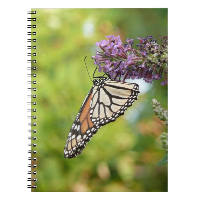 Monarch Butterfly vid Lila Butterfly Bush Anteckningsbok Med Spiral (Framsidan)
