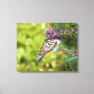 Monarch Butterfly vid Lila Butterfly Bush Canvastryck