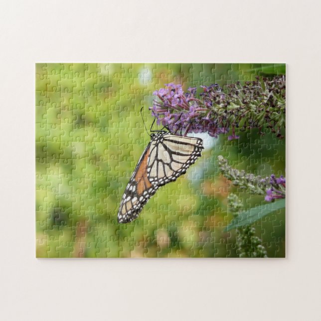 Monarch Butterfly vid Lila Butterfly Bush Pussel (Horisontell)