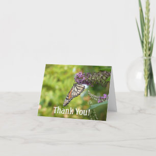 Monarch Butterfly vid Lila Butterfly Bush Tack Kort