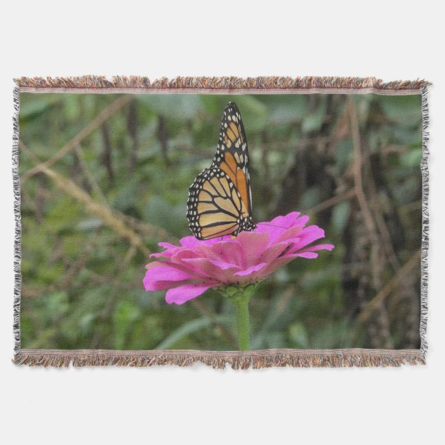 Monarch Butterfly vid Söt Rosa Zinnia Flower Filt (Framsidan)