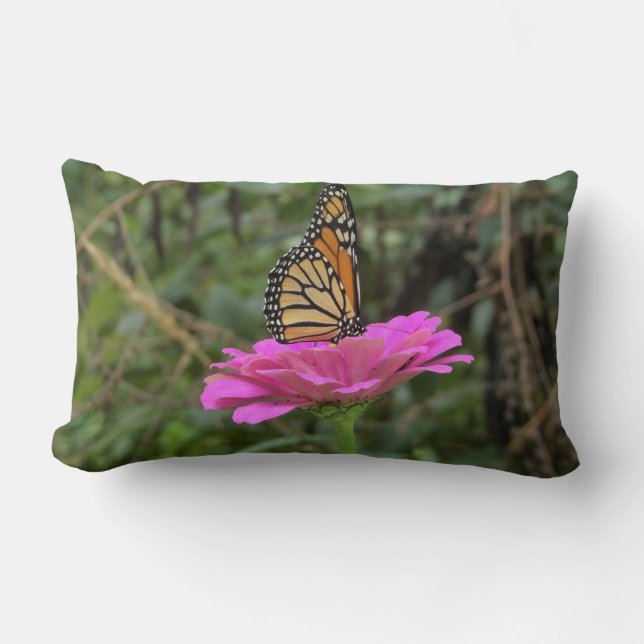 Monarch Butterfly vid Söt Rosa Zinnia Flower Lumbarkudde (Framsida)