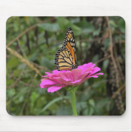 Monarch Butterfly vid Söt Rosa Zinnia Flower Musmatta