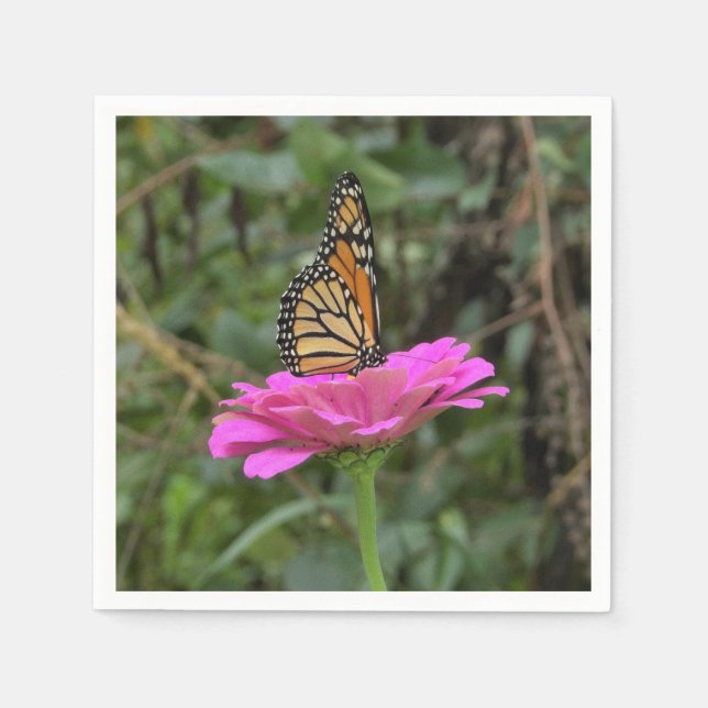 Monarch Butterfly vid Söt Rosa Zinnia Flower Pappersservett (Framsidan)