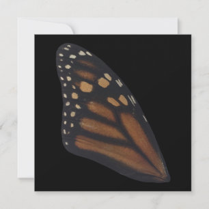 Monarch Butterfly Vinge on Black Julkort