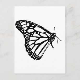 Monarch Butterfly Vykort