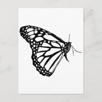 Monarch Butterfly Vykort