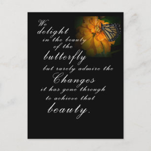 Monarch Butterfly Vykort