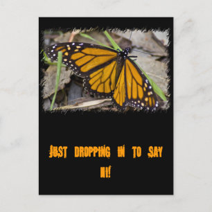Monarch Butterfly Vykort