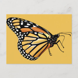 Monarch Butterfly Vykort