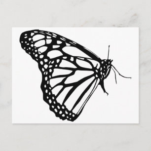 Monarch Butterfly Vykort