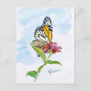 Monarch Butterfly-vykort Vykort