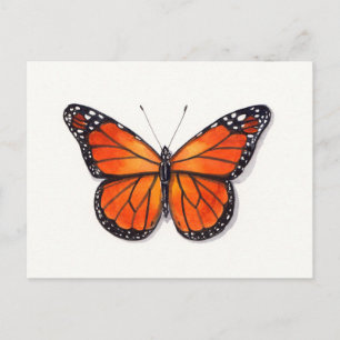 Monarch Butterfly-vykort Vykort