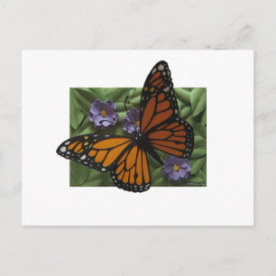 Monarch Butterfly-vykort Vykort