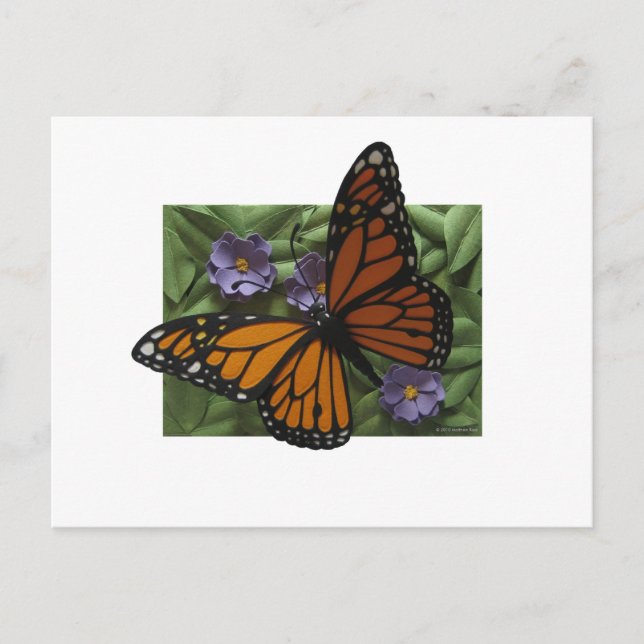Monarch Butterfly-vykort Vykort (Framsida)