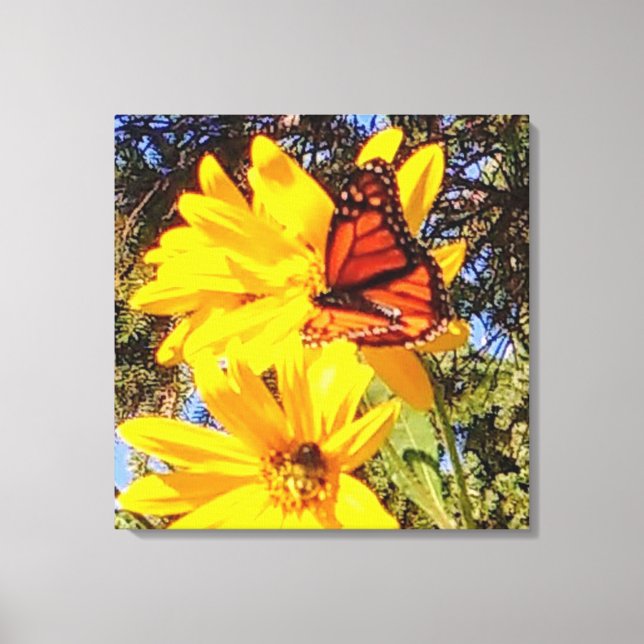 Monarch Butterfly Wrapped Canvas (Framsida)