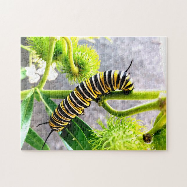 Monarch Caterpelare Pussel (Horisontell)