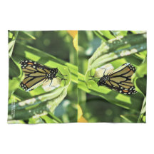 Monarch Emerges i trädgårdar