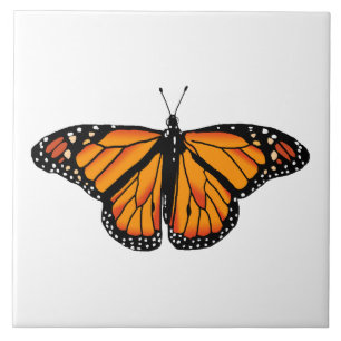 Monarch-fjäril Kakelplatta