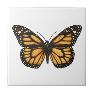 Monarch-fjäril Kakelplatta