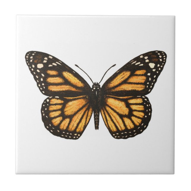 Monarch-fjäril Kakelplatta (Framsidan)