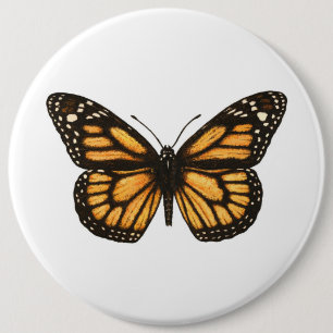 Monarch-fjäril Knapp