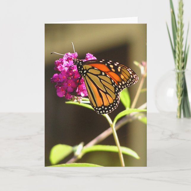 Monarch-fjäril Kort (Framsida)