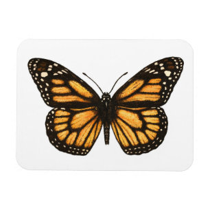 Monarch-fjäril Magnet
