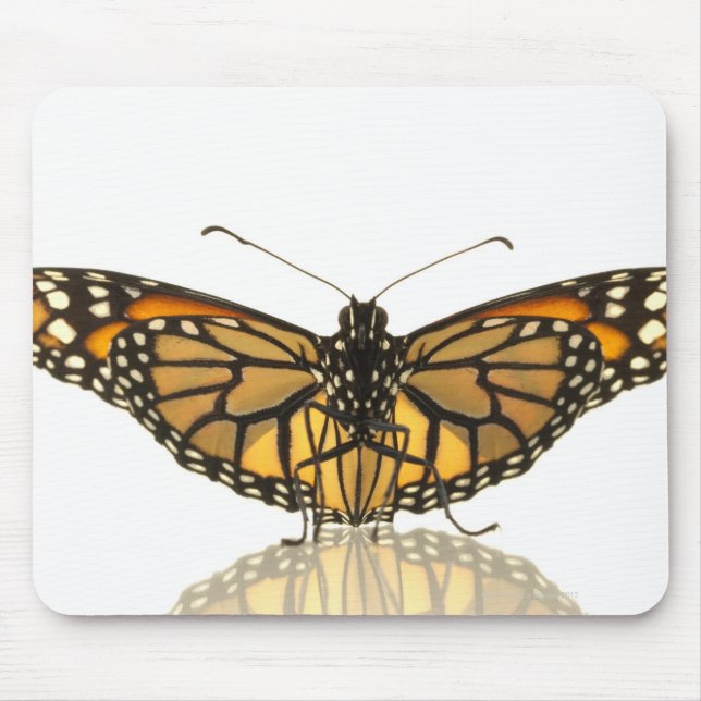 Monarch-fjäril med vingar-spridning musmatta (Framsidan)