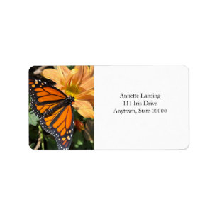 Monarch-fjäril på krrysanthemum-blomman adressetikett