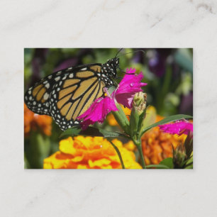 Monarch-fjäril på rosa marigold affärskort visitkort