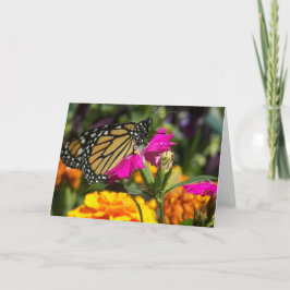 Monarch-fjäril på rosa marigold-greeting Card Kort