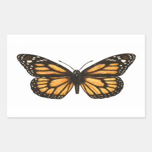 Monarch-fjäril Rektangulärt Klistermärke
