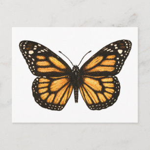 Monarch-fjäril Vykort