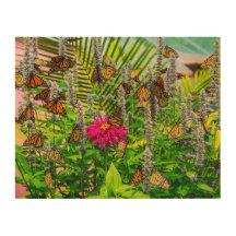 Monarch Fjärilar Trä Vägkonst 14 x 11