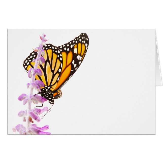 Monarch gick på lavender hälsningskort (Framsidan Horizontal)