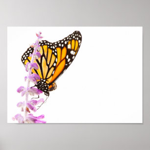 Monarch gick på lavender poster