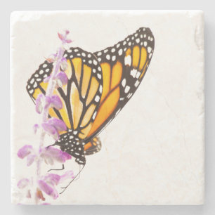 Monarch gick på lavender stenunderlägg