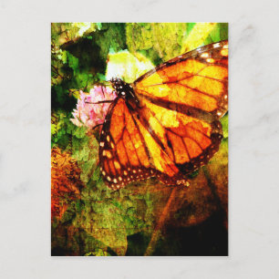 Monarch Grunge Vykort