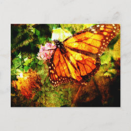 Monarch Grunge Vykort