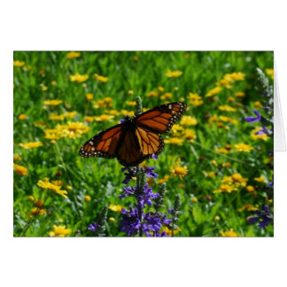 Monarch i Meadow Hälsningskort