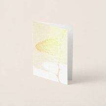 Monarch i morgonljuset