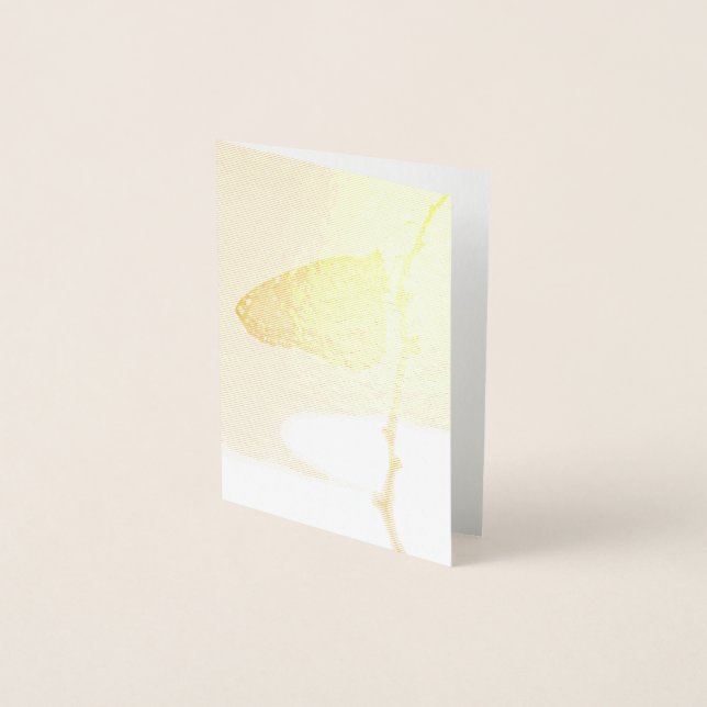 Monarch i morgonljuset folierat kort (Framsida)