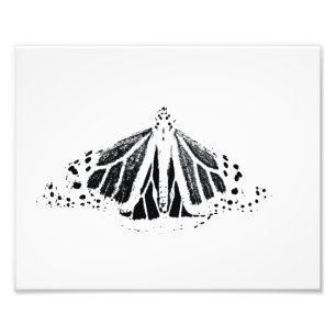 Monarch-kontur Fototryck