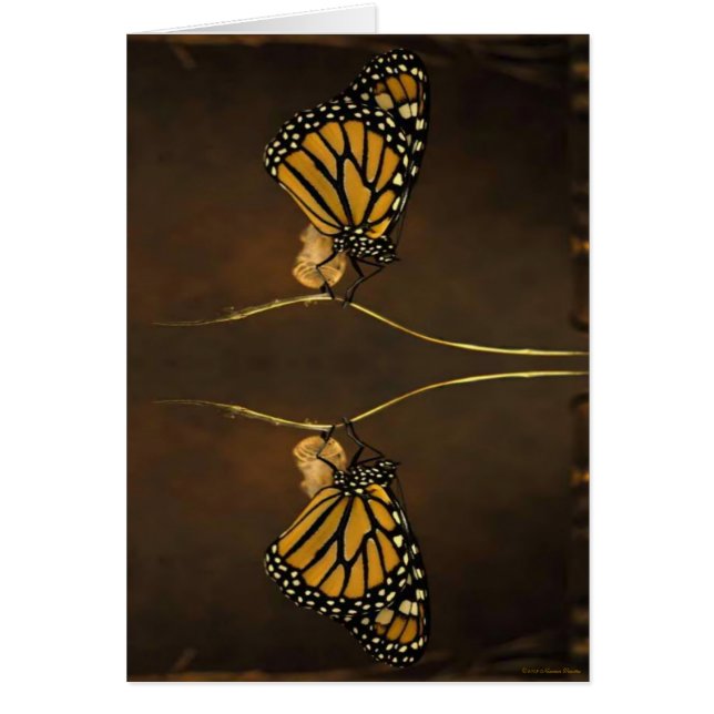 Monarch-kort Hälsningskort (Framsidan)