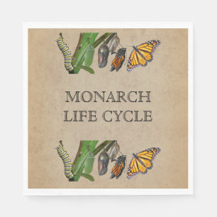 MONARCH LIFE CYCLE PAPPERSSERVETT